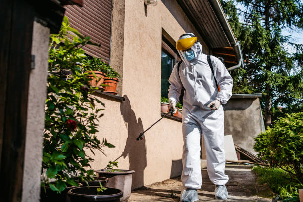 Best Residential Pest Control  in Point Lookout, NY