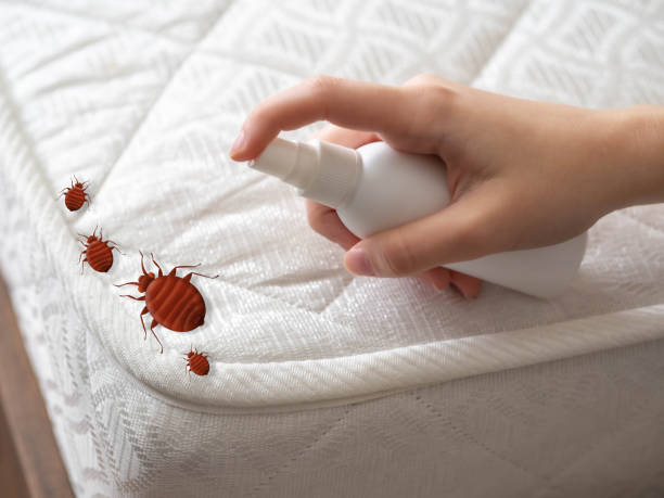 Best Commercial Pest Control Services  in Point Lookout, NY