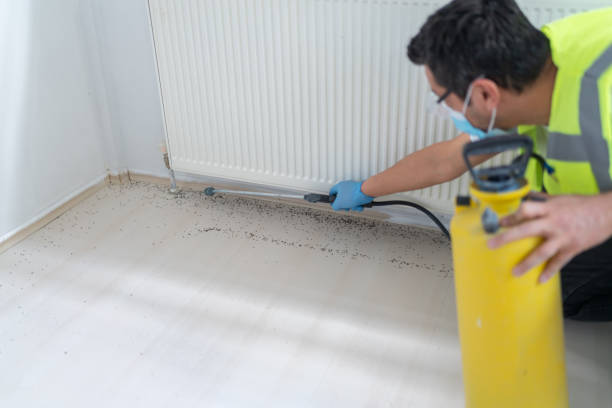 Trusted Point Lookout, NY Pest Control Experts